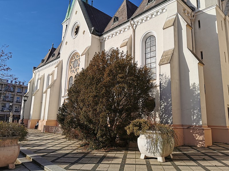 Our Lady of the Assumption Cathedral