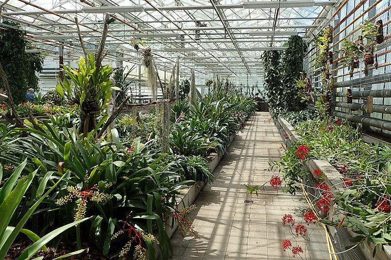 Jardín botánico de la Academia de Ciencias de Hungría en Vacratot
