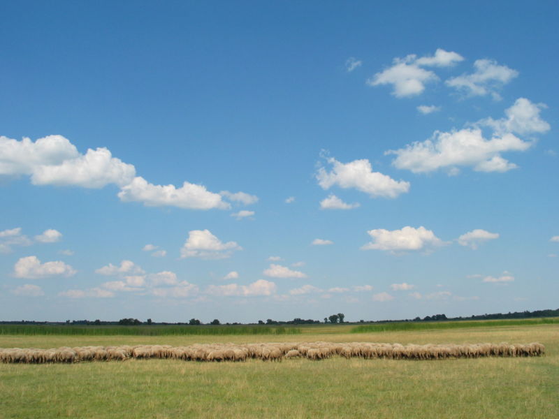 Parc national de Hortobágy