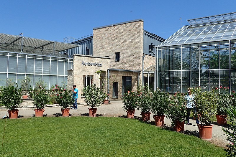 Botanischer Garten Vácrátót