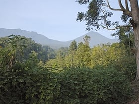 nationalpark gunung gede pangrango
