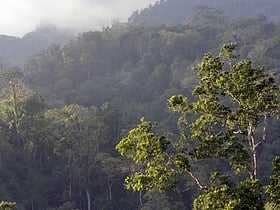 reserve naturelle de tangkoko batuangus