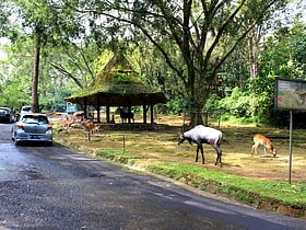 Taman Safari