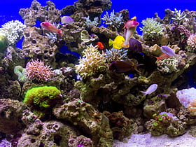 jakarta aquarium yakarta