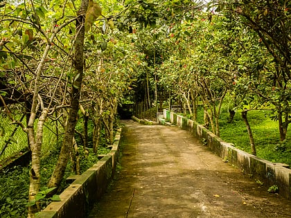 sukorambi botanical garden jember