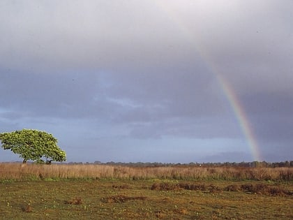 Parque nacional de Wasur