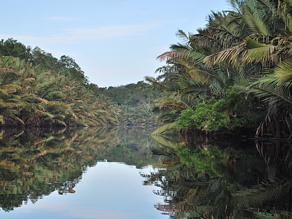 Parque nacional de Berbak