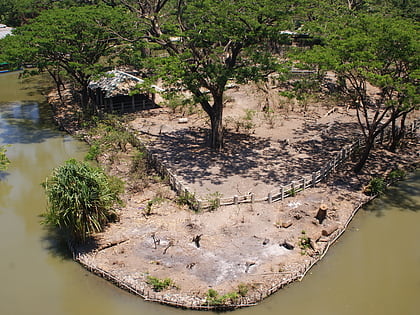 Kebun Binatang Surabaya