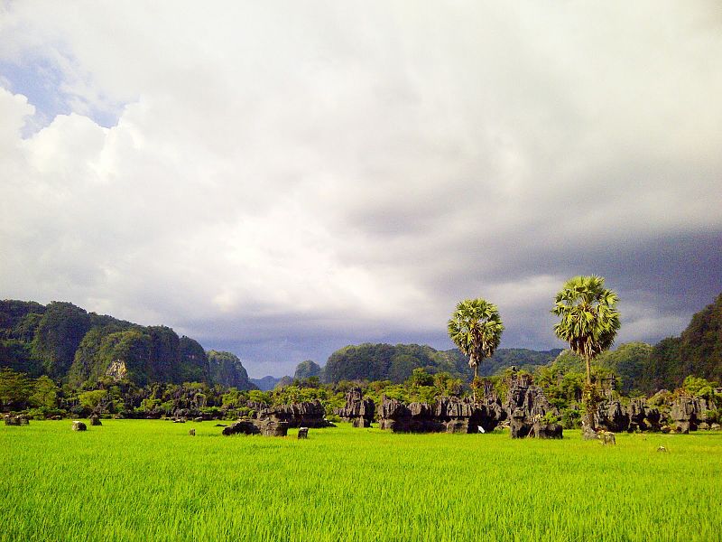 Parque nacional de Bantimurung-Bulusaraung