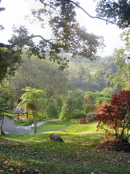 Jardín botánico Cibodas