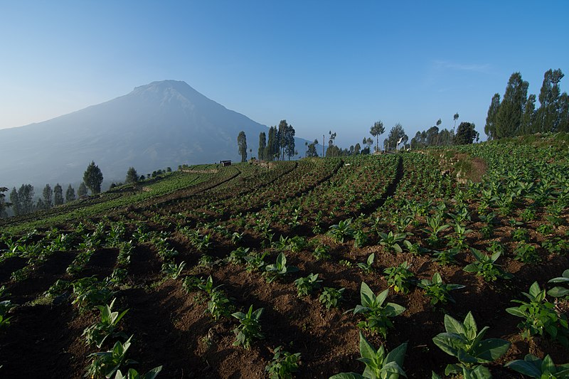 Kabupaten de Temanggung