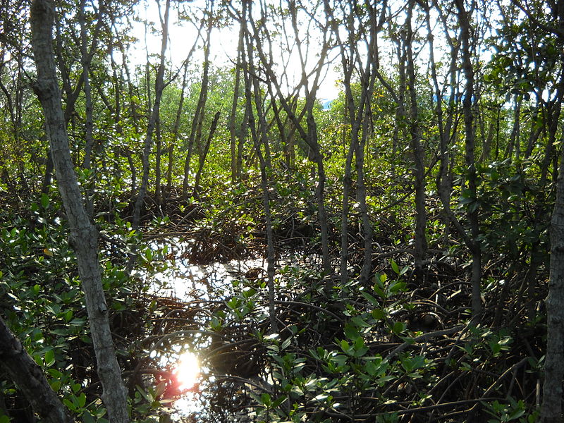 Îles Seribu