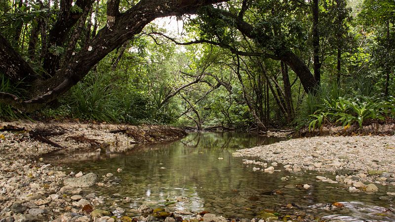 Parque nacional de Ujung Kulon