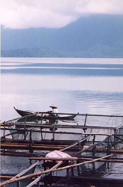 Lac Maninjau