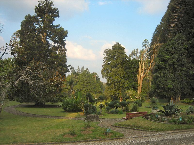 Jardín botánico Cibodas