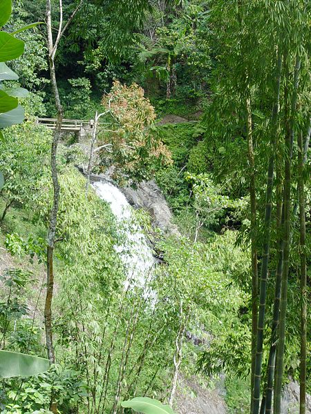 Wodospad Gitgit