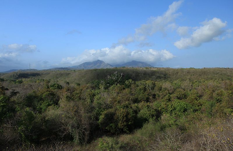 Parc national de Bali occidental