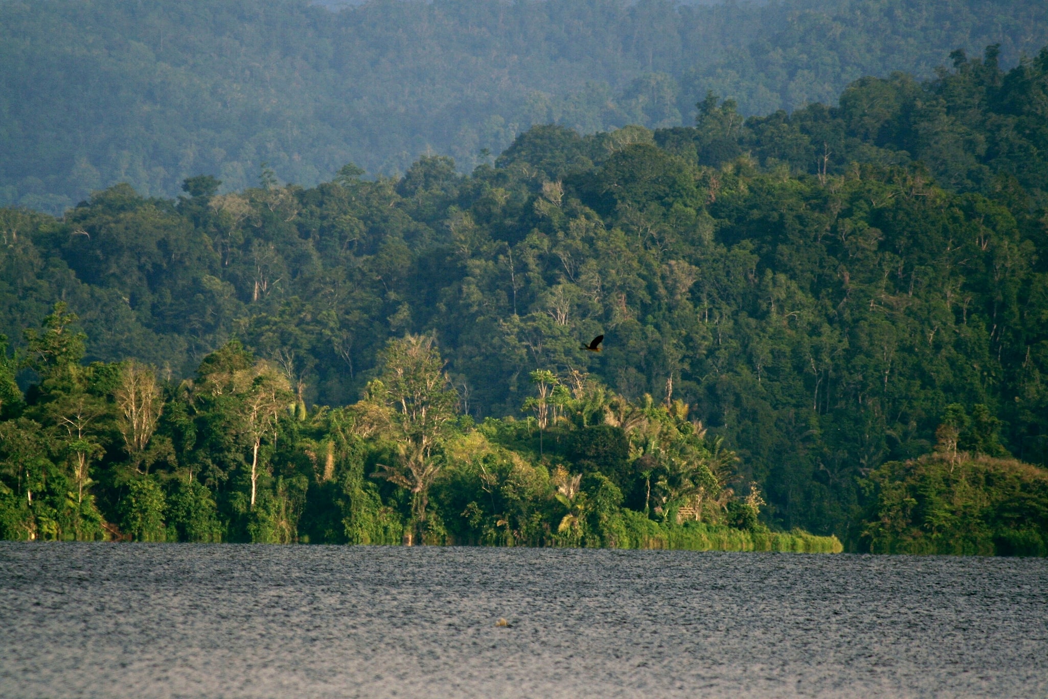 Nationalpark Lore Lindu, Indonesien