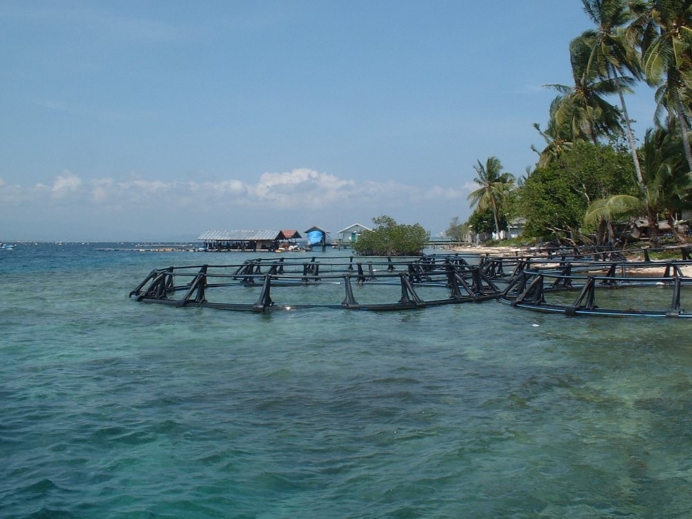 Seram Island, Indonesia
