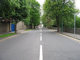 Anglesea Road