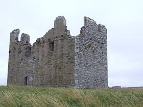 O'Brien's Castle