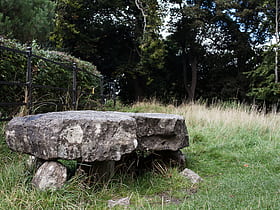 knockmaree dolmen dublin