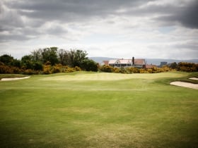 the royal dublin golf club