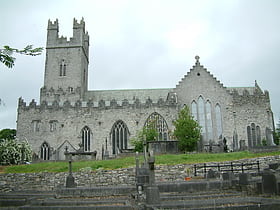 st marys cathedral limerick