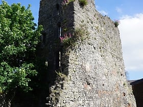 Fanning's Castle