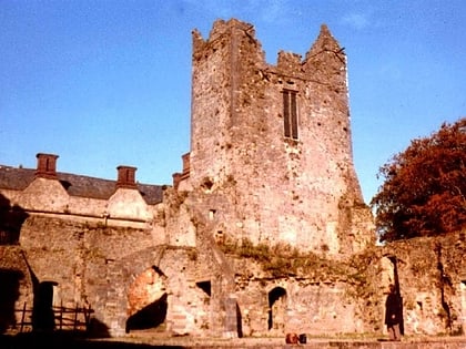 castillo de ormonde carrick on suir