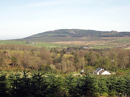 carrick mountain