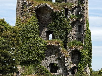 Ballymarkahan Castle