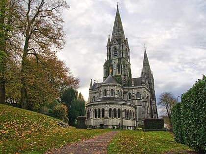 saint fin barres cathedral cork