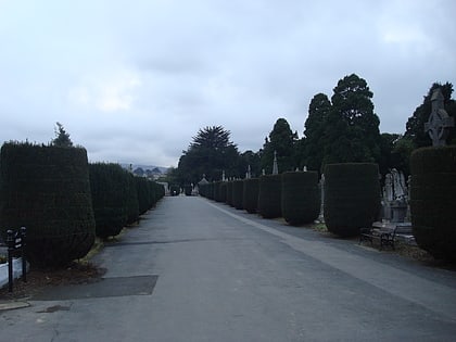 deansgrange cemetery dublin