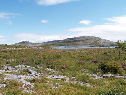 burren nationalpark