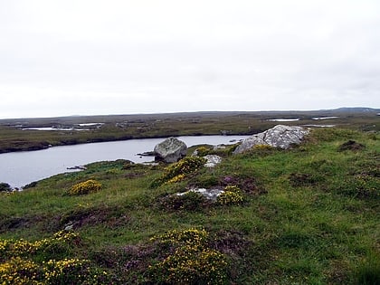 Connemara