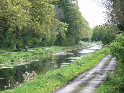 royal canal dublin