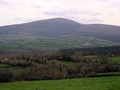 brandon hill graiguenamanagh