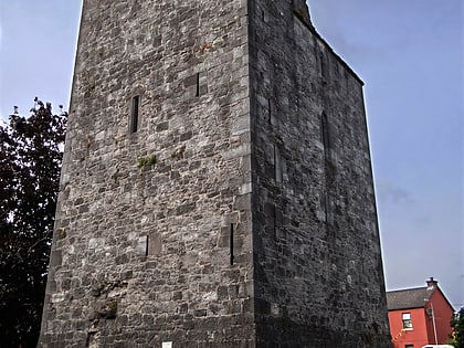 maudlin castle kilkenny