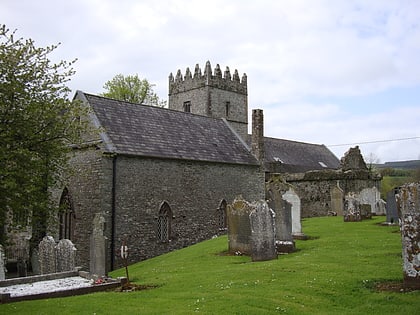 cathedrale saint laserian de leighlin