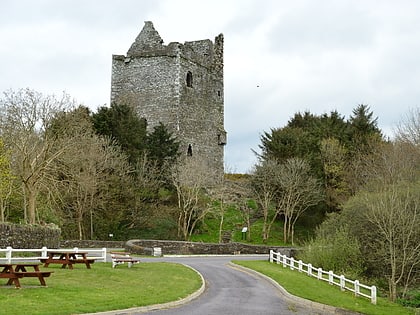 ballinacarriga castle