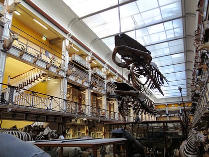 museo nacional de historia natural de irlanda dublin