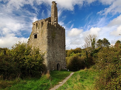 dromore castle ennis