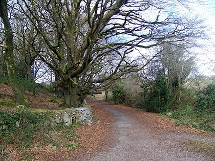 barna woods galway