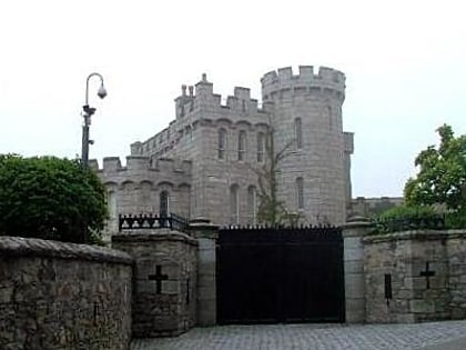 manderley castle dublin