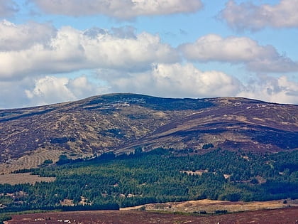 gravale park narodowy wicklow mountains