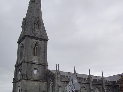 catedral de san muiredach ballina