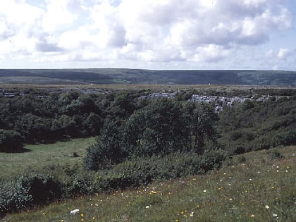 turlough