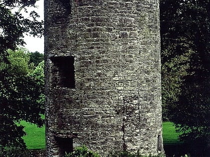 guard tower blarney