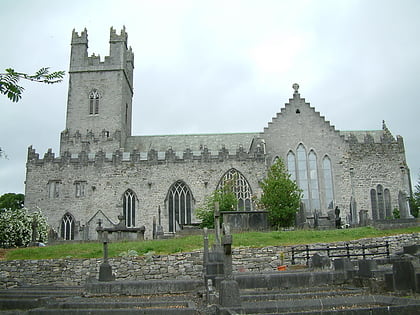 Cathédrale Sainte-Marie de Limerick
